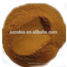 Mejor precio Extracto de hierbas de buena calidad Extracto de raíz de Goldthread chino Polvo 6% de berberina